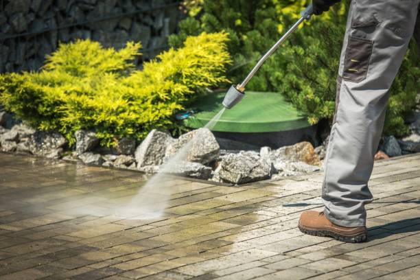 Best Driveway Cleaning and Restoration in Sarasota, FL